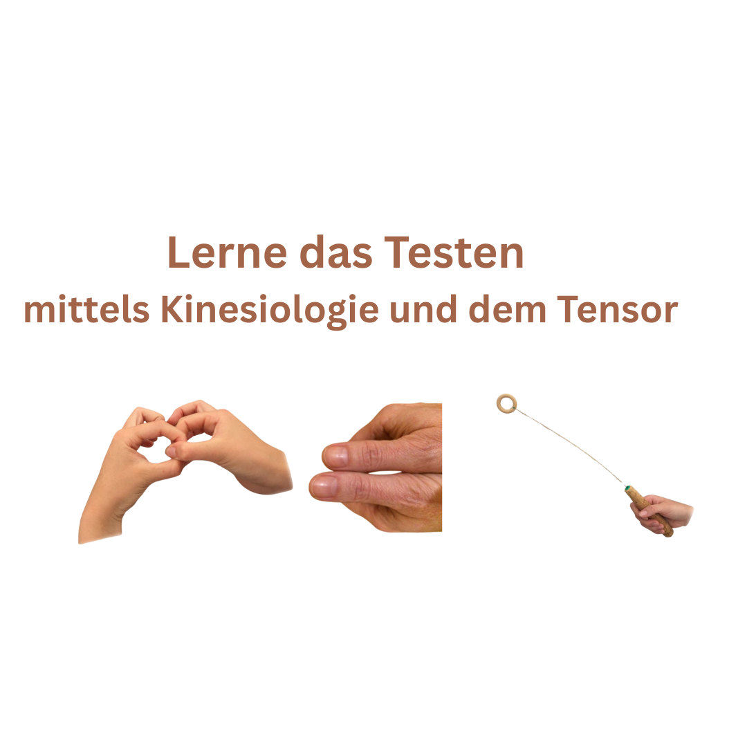 Beitragsbild Erlerne das Austesten